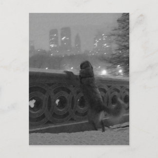 "Snowy View from Bow Bridge" Central Park, NYC Postcard