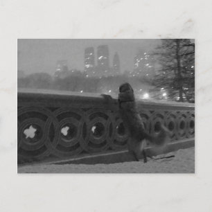 Snowy View from Bow Bridge Postcard