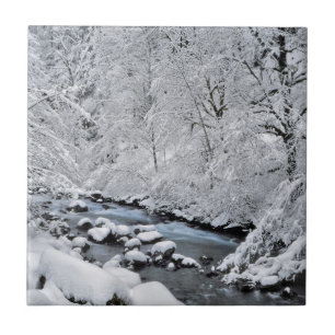 Snowy white creek scenic, Oregon Tile