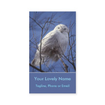 Snowy White Owl, White Arctic Bird, Sapphire Sky