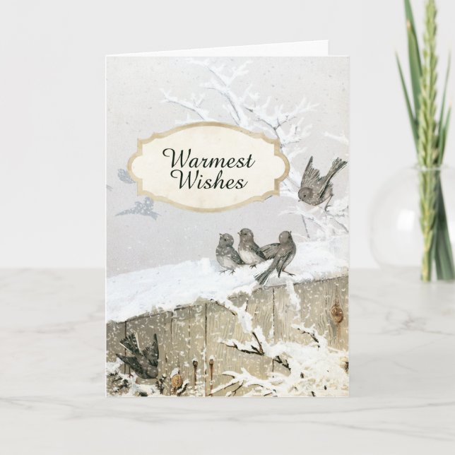 Snowy Winter Bird Junco Christmas Nature Holiday C Card (Front)