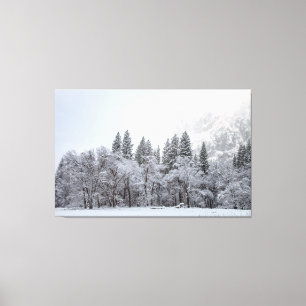 Snowy Winter Canvas Print