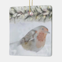 Snowy Winter Christmas Robin Bird 