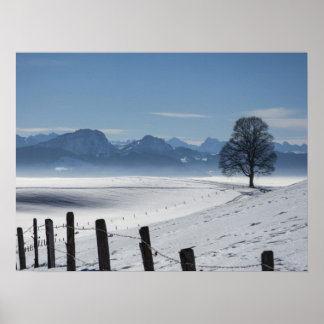 Snowy Winter Countryside Landscape Photo Poster
