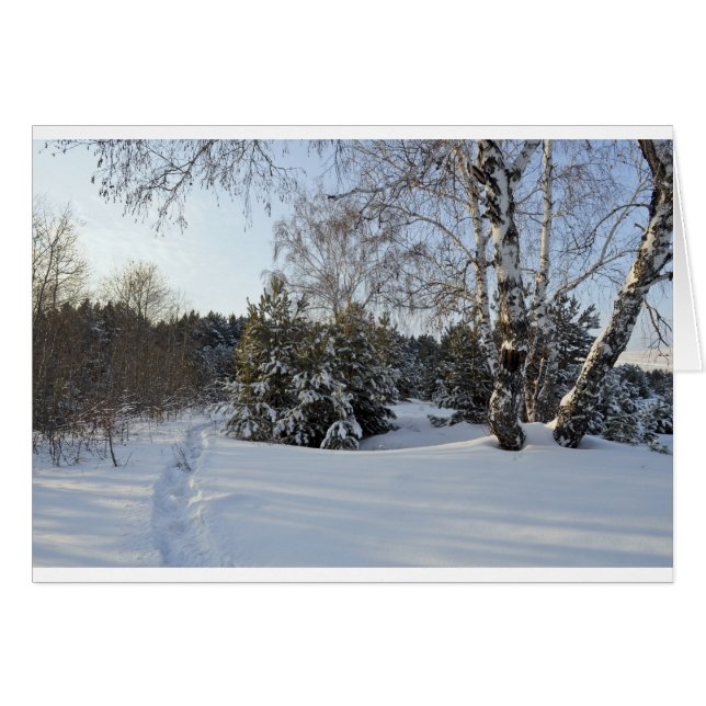 Snowy Winter Day (Front Horizontal)