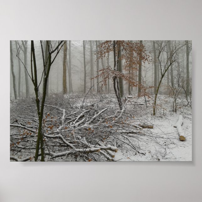 Snowy Winter Forest Poster (Front)