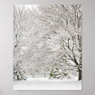 Snowy Winter Forest Poster