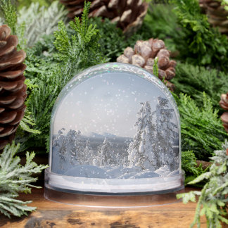 Snowy Winter Landscape  Snowglobe