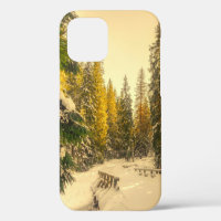Snowy Winter Path with Pine Trees