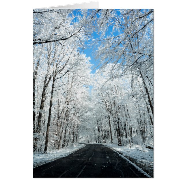 Snowy Winter Road Scene (Front)