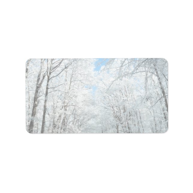 Snowy Winter Road Scene Label (Front)