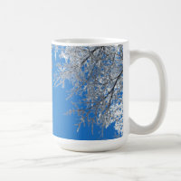 Snowy Winter Scene