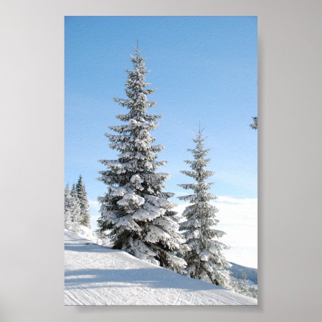Snowy Winter Scene with Christmas Trees Poster (Front)