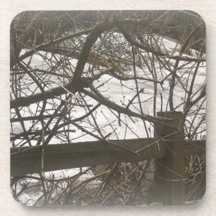 Snowy Woods Coaster