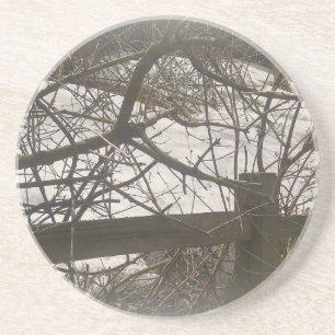 Snowy Woods Coaster