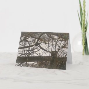 Snowy Woods Holiday Card