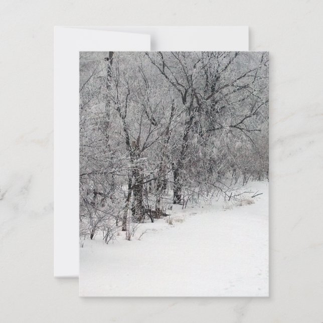 Snowy Woods Invitation (Front)