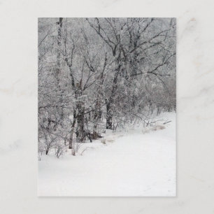 Snowy Woods Invitation