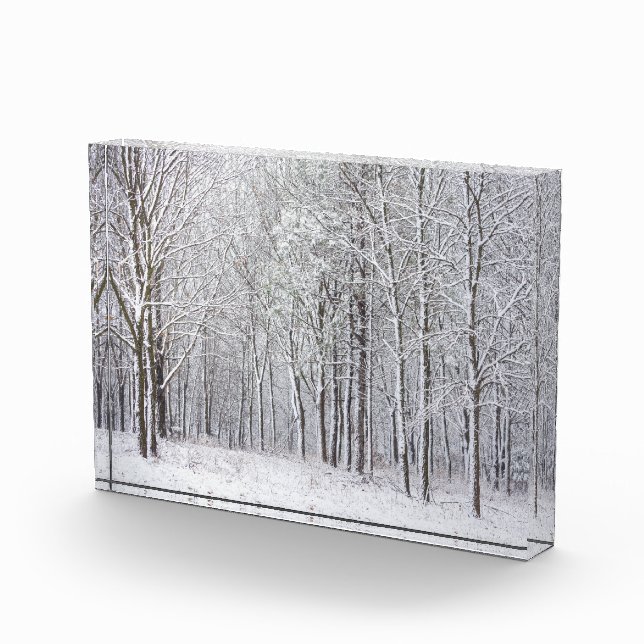 Snowy Woods Photo Block (Right)