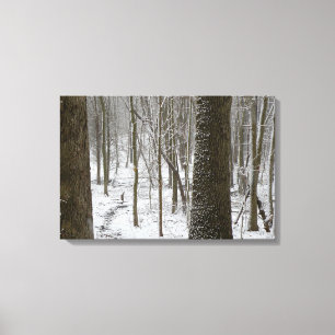 Snowy Woods Scene Canvas Print