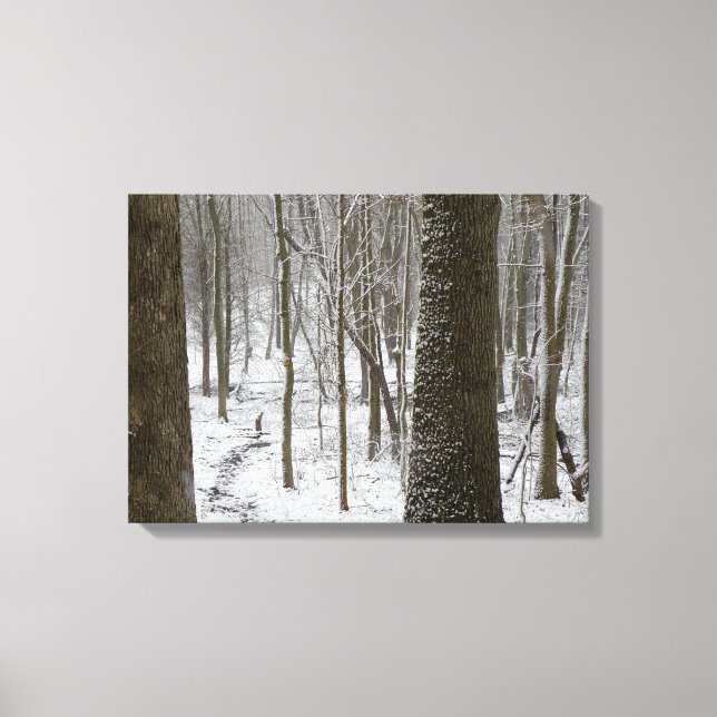 Snowy Woods Scene Canvas Print (Front)