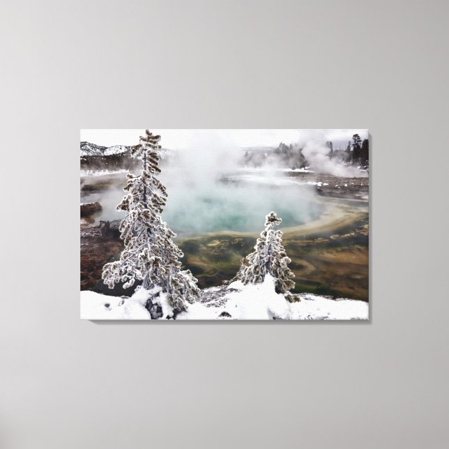 Snowy Yellowstone Canvas Print (Front)