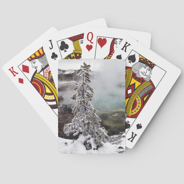 Snowy Yellowstone Playing Cards (Back)