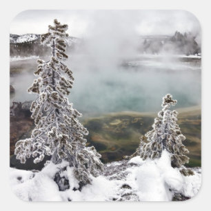 Snowy Yellowstone Square Sticker