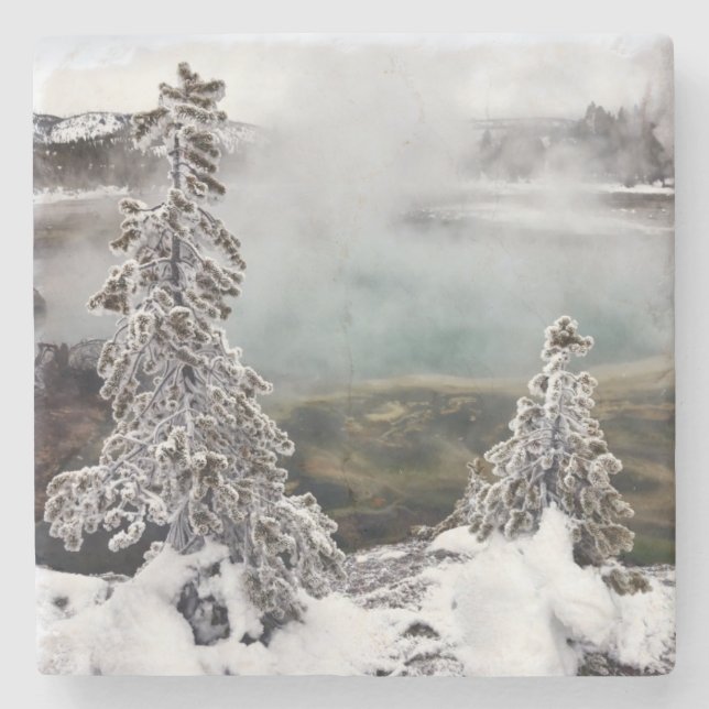 Snowy Yellowstone Stone Coaster (Front)