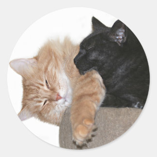 Snuggle buddies classic round sticker