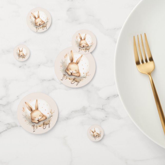 Snuggle Bunny Baby Shower Confetti (Group)