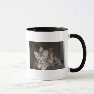 Snuggle Mug
