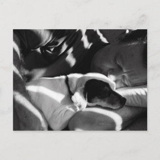 Snuggle Postcard
