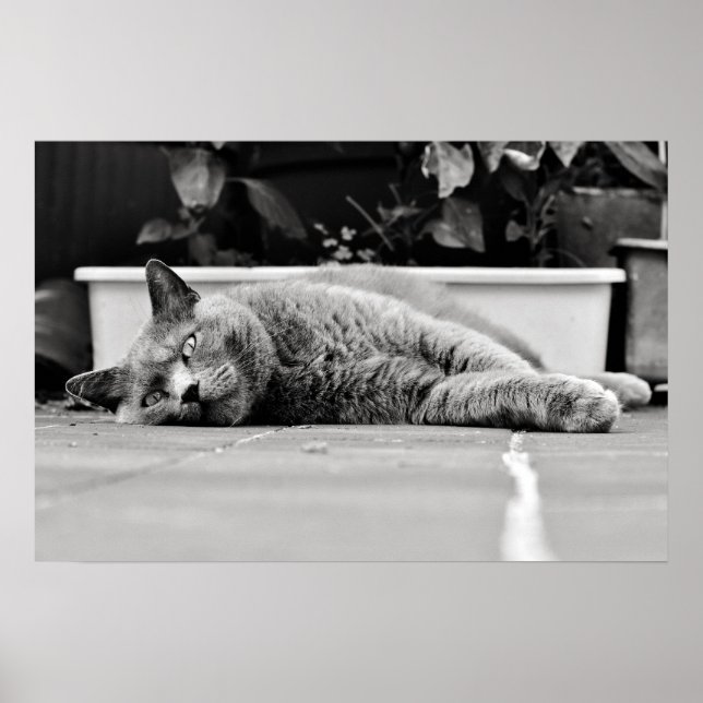 So bored... poster (Front)