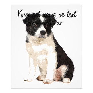 So Cute Border Collie Dog Puppy Photo Print