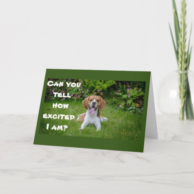 SO EXCITED AND HOPE YOUR BIRTHDAY IS HAPPY CARD (Front)