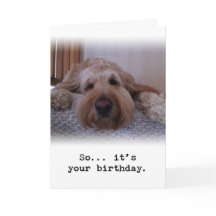 So... It's Your Birthday