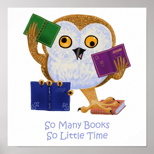 So Many Books So Little Time Poster (Front)