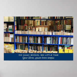 So Many Books So Little Time Poster