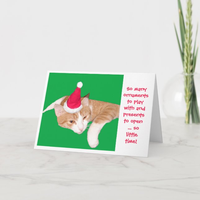 So many ornaments to play with so little time holiday card (Front)