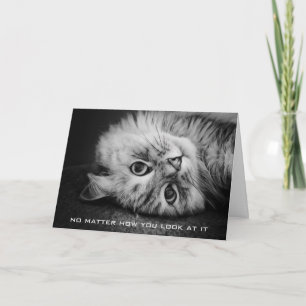 So Meowvelous Birthday Card