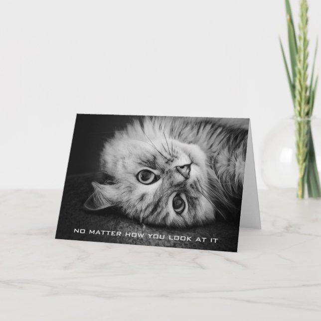 So Meowvelous Birthday Card (Front)