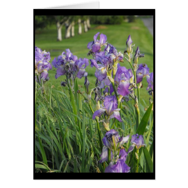 So ready for Spring ~ 21 (Front)