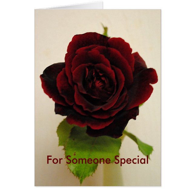 So Red The Rose (Front)