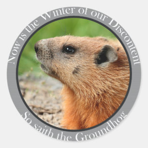 So saith the groundhog classic round sticker