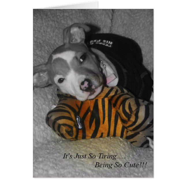 So Tiring Being So Cute! (Front)