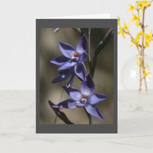 SO "VERY SORRY" FOR "YOUR LOSS" CARD