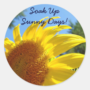 Soak Up Sunny Days! stickers Sunflowers Floral