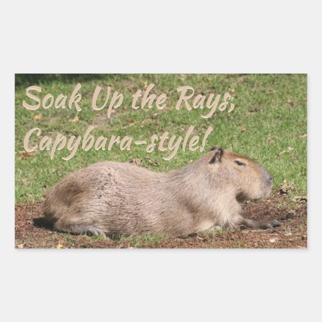 Soak Up the Rays, Capybara-style! Sticker (Front)