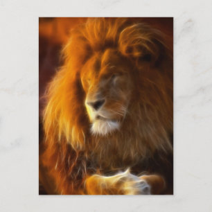 Soaking Up the Sun, King of the Jungle Lion II Postcard